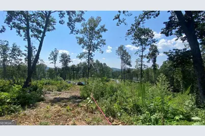 1084 Highgrove Drive #276, Talking Rock, GA 30175 - Photo 2