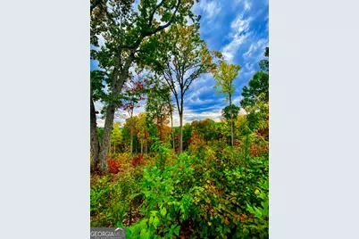 1084 Highgrove Drive #276, Talking Rock, GA 30175 - Photo 4