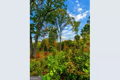 1084 Highgrove Drive #276, Talking Rock, GA 30175 - Photo 2