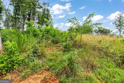 1084 Highgrove Drive #276, Talking Rock, GA 30175 - Photo 32