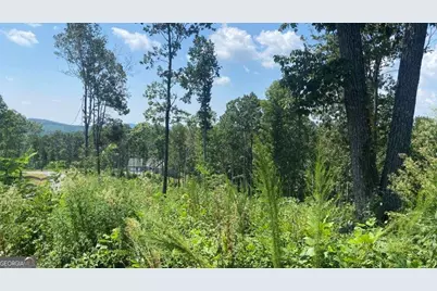 1084 Highgrove Drive #276, Talking Rock, GA 30175 - Photo 18