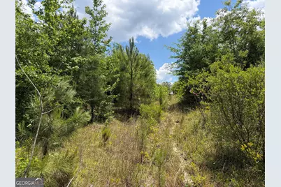004 Little Sandy Creek Road, Toomsboro, GA 31090 - Photo 6