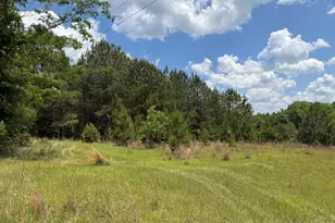 004 Little Sandy Creek Rd, Toomsboro, GA 31090 - Photo 1