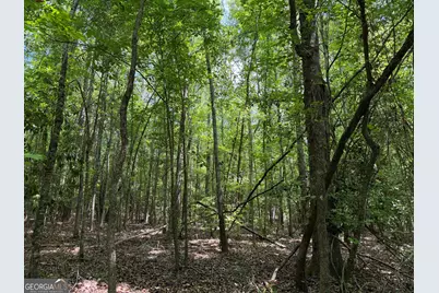 004 Little Sandy Creek Road, Toomsboro, GA 31090 - Photo 2