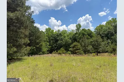 004 Little Sandy Creek Road, Toomsboro, GA 31090 - Photo 4