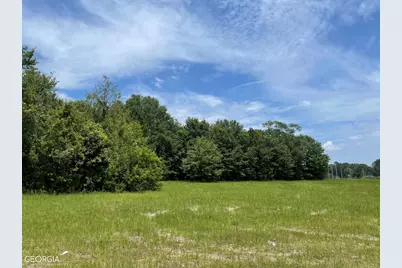Lot 10 Burkhalter Road, Statesboro, GA 30458 - Photo 6