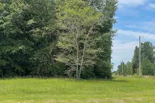 Lot 10 Burkhalter Rd, Statesboro, GA 30458 - Photo 1