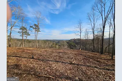 289 Anglers Ridge Road, Talking Rock, GA 30175 - Photo 6