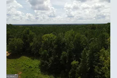233 207 Baughs Cross Road, West Point, GA 31833 - Photo 26