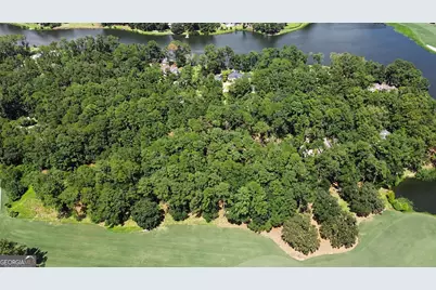 388 Belted Kingfisher Lane, Richmond Hill, GA 31324 - Photo 6