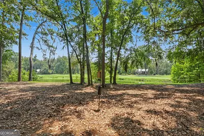 466 Belted Kingfisher Lane, Richmond Hill, GA 31324 - Photo 28
