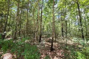 2604 River Bend Rd, Statesboro, GA 30461 - Photo 14