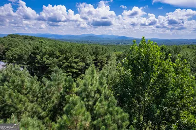9 Foxpaw Leaf Court #9, East Ellijay, GA 30536 - Photo 10