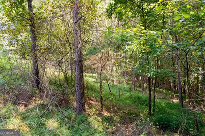 9 Foxpaw Leaf Court #9, East Ellijay, GA 30536 - Photo 24