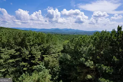 9 Foxpaw Leaf Court #9, East Ellijay, GA 30536 - Photo 20