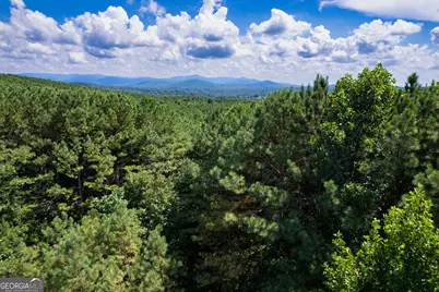 9 Foxpaw Leaf Court #9, East Ellijay, GA 30536 - Photo 12