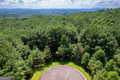 9 Foxpaw Leaf Court #9, East Ellijay, GA 30536 - Photo 8