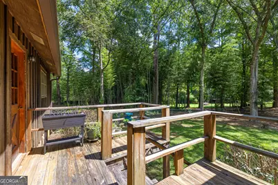 295 Farr Road, Tyrone, GA 30290 - Photo 48