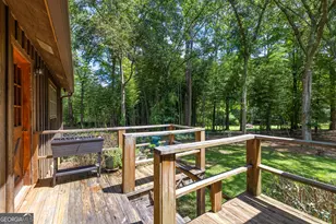 295 Farr Rd, Tyrone, GA 30290 - Photo 48