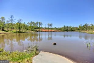 4348 Marshall Stewart Rd, Crawfordville, GA 30631 - Photo 76