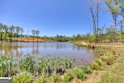 4348 Marshall Stewart Road, Crawfordville, GA 30631 - Photo 60