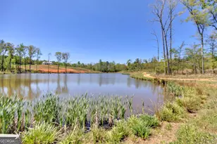 4348 Marshall Stewart Rd, Crawfordville, GA 30631 - Photo 60