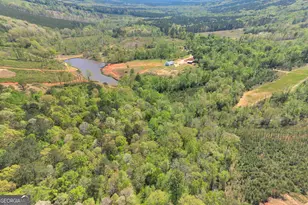 4348 Marshall Stewart Rd, Crawfordville, GA 30631 - Photo 80