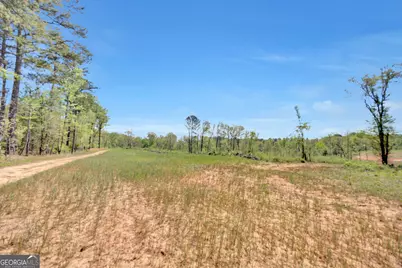 4348 Marshall Stewart Road, Crawfordville, GA 30631 - Photo 70