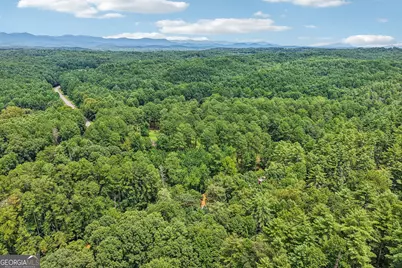 152 River Drive, Dahlonega, GA 30533 - Photo 44