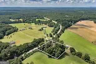 1366 Hwy 36 E, Milner, GA 30257 - Photo 48