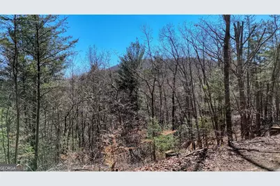 Lot 10 Firefly Ridge, Blairsville, GA 30512 - Photo 4