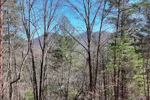 Lot 10 Firefly Ridge, Blairsville, GA 30512 - Photo 1