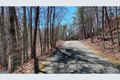 Lot 10 Firefly Ridge, Blairsville, GA 30512 - Photo 2