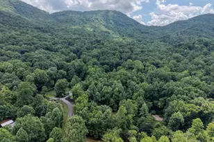 4348 White Oak Dr, Hiawassee, GA 30546 - Photo 54