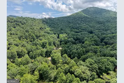 4348 White Oak Drive, Hiawassee, GA 30546 - Photo 52