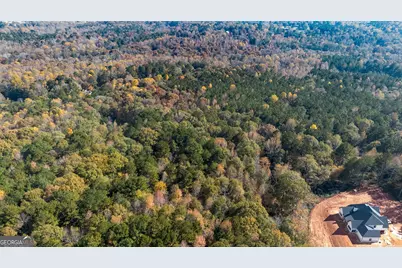 0 Tanners Bridge Circle, Bethlehem, GA 30620 - Photo 8