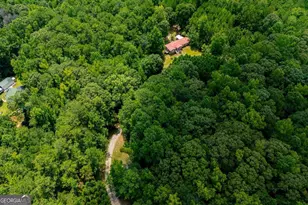 3372 East Hwy 5, Whitesburg, GA 30185 - Photo 64