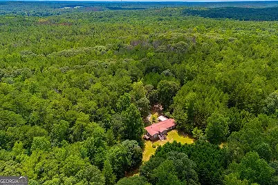 3372 East Hwy 5, Whitesburg, GA 30185 - Photo 60