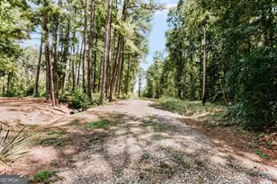 72 Terry Dee Ln, Colbert, GA 30628 - Photo 32
