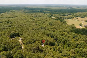 72 Terry Dee Ln, Colbert, GA 30628 - Photo 36