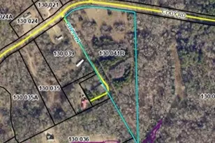 10 8 Ac Cody Rd, Mount Airy, GA 30563 - Photo 1