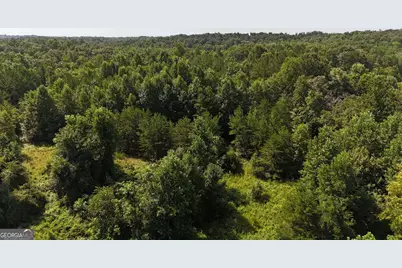 10.8 Ac Cody Road, Mount Airy, GA 30563 - Photo 20
