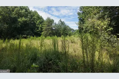 10.8 Ac Cody Road, Mount Airy, GA 30563 - Photo 6