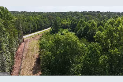 10.8 Ac Cody Road, Mount Airy, GA 30563 - Photo 10