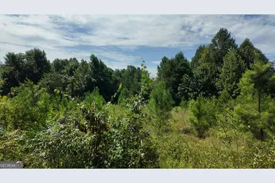 10.8 Ac Cody Road, Mount Airy, GA 30563 - Photo 4