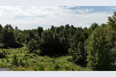 10.8 Ac Cody Road, Mount Airy, GA 30563 - Photo 18
