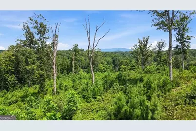 17 Mystic Drive, Ellijay, GA 30540 - Photo 20