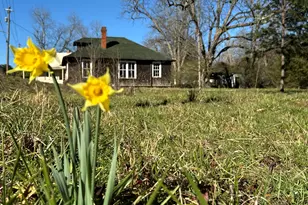 9822 Jones St, Sparta, GA 31087 - Photo 42