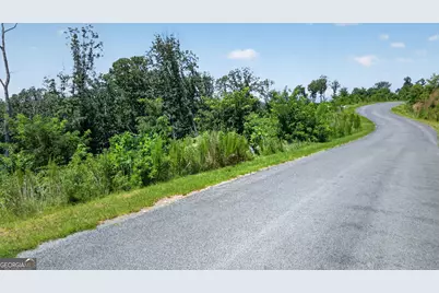 Lot 292 Highgrove Drive, Talking Rock, GA 30175 - Photo 16
