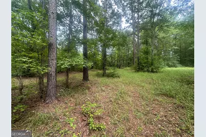 3693 Joyner Oglesby Road, Sardis, GA 30456 - Photo 10